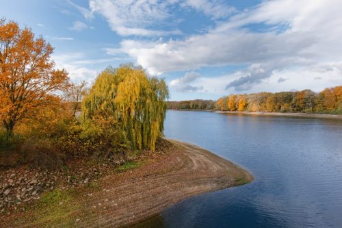 P1000821 fotoliga web